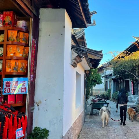 丽江一周天气预报，高原古城的气温起伏与旅行建议
