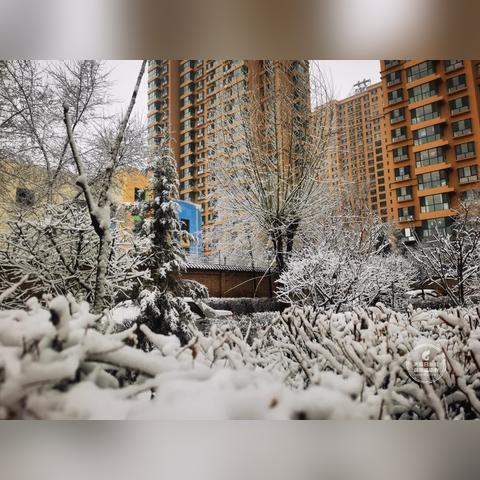 山西大同天气预报,古都风云变幻,出行需早做准备 山西大同天气预报,古都风云变幻,出行需早做准备