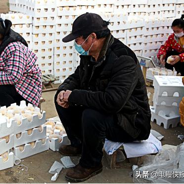砀山明日多云转晴,果农抢抓农时盼丰收 砀山明日多云转晴,果农抢抓农时盼丰收