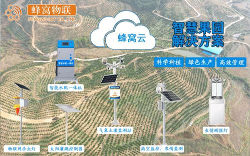 一张图看遍中国冷暖，全国温度实时监测图背后的气象智慧