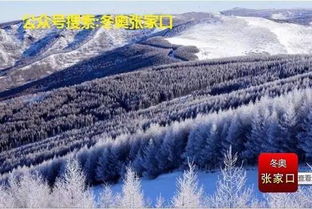 张家口的天气，一场风与雪的四季交响