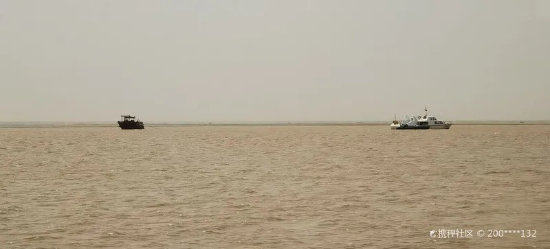 东营天气，黄河入海处的温柔与倔强