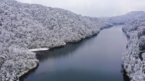 银装素裹的实时画卷，降雪图监测下的冬日奇观