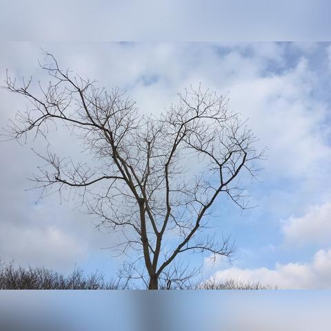 江苏南京明天天气，多云转晴，气温回升，适宜出行
